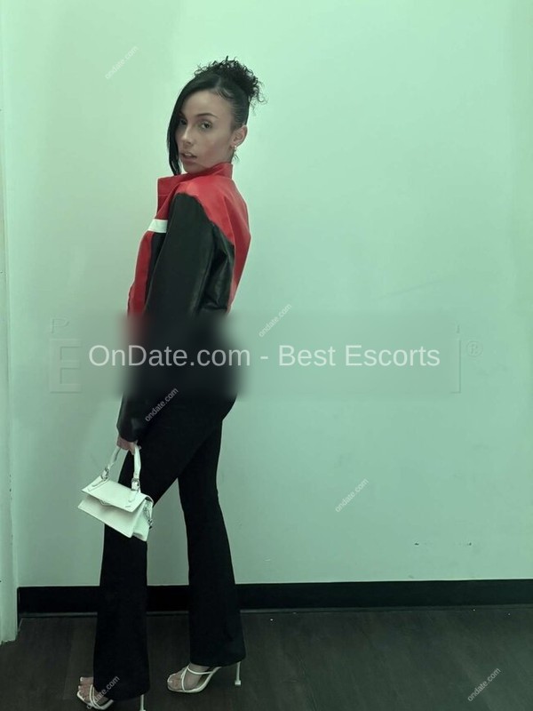 Escorts In Springfield Mass